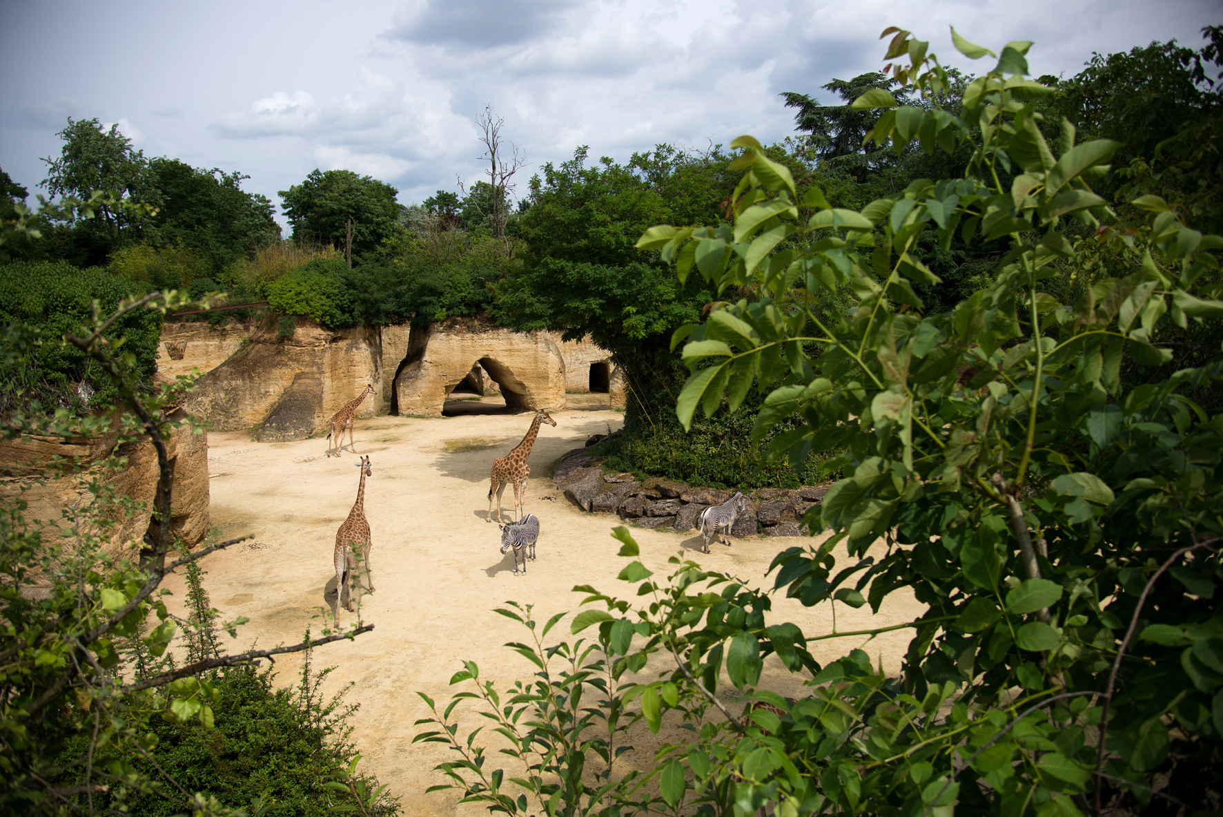 Doué-en-Anjou